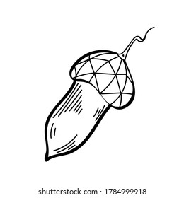 Vector. Bellota decorativa monocroma. Coloración antiestrés. Ilustración estilizada con patrones. Elemento de diseño para la plantilla de impresión, etiqueta, logotipo, empaque. Líneas negras sobre un fondo blanco.