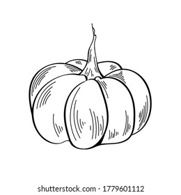 Vector. Calabaza decorativa monocroma. Ilustración de verduras otoñales. Elemento de diseño para imprimir plantilla, etiqueta, logotipo, empaque. Líneas negras sobre un fondo blanco. Calabaza festiva.
