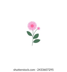 vector element pink flower floral and fauna day pink