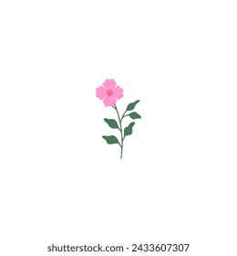 vector element pink flower floral and fauna day pink