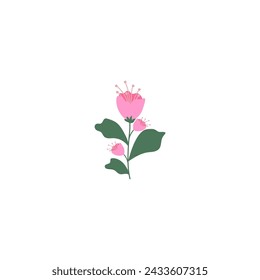 vector element pink flower floral and fauna day pink
