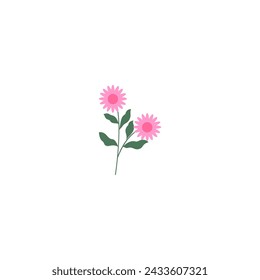 vector element pink flower floral and fauna day pink
