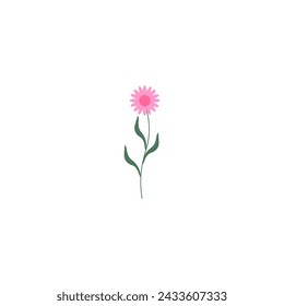 vector element pink flower floral and fauna day pink