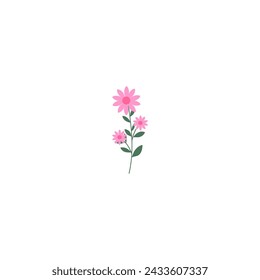 vector element pink flower floral and fauna day pink