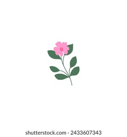 vector element pink flower floral and fauna day pink