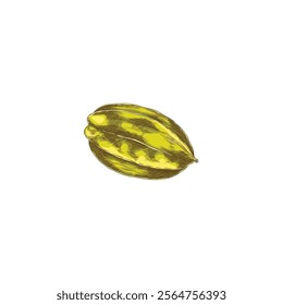 Vector element with a whole sweet and sour carambola fruit in the shape of a yellow star, made in the style of a sketch for a menu with dishes from exotic fruits