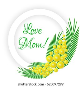 Vector element of yellow fluffy mimosa tree brunch for Mother day or Woman celebration day greeting card or poster.  