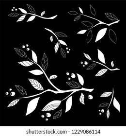 Vector elements for design. Abstract branches with leaves and berries, chalkboard style, perfect for black and white design. Set of different size and shapes