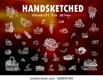 Vector elements for design. Hand drawn sketch collection. Simple picnic basket, bowl of fruit, plates with tropical fruit, glass of water, juice, grapes, apples, pears, pineapples and more elements 