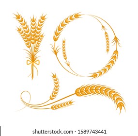 Vector elements design of wheat grain, Agriculture wheat icon natural product