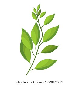 Vector elements green leaf on a white background. Elegant decorative beauty illustration for design