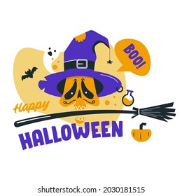 Vector elements of the holiday Halloween - skull in pointed witch hat, broom against white background.
