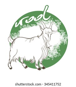 vector elements for packaging products 
from mountain goat wool