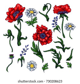 Vector elements of red poppy, leaf and chamomile. Graphic illustration for print.