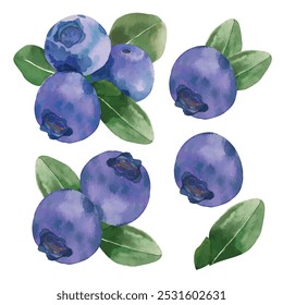 Elementos vetoriais conjunto de Blueberries mão desenhar aquarela pintada