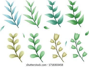 Vector elements set: collection of leaf. Decorative beauty elegant illustration for design