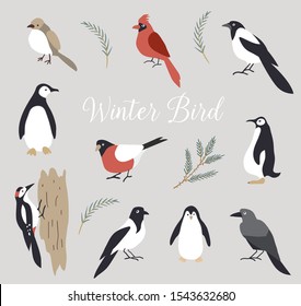 Vector elements. Set of cute winter birds isolated on white background. Christmas animals.
