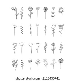 Vector elements. Set of flowers and plants. Outline sketched style. Botanical design for floral compositions