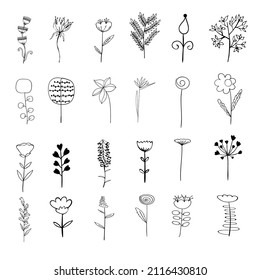 Vector elements. Set of flowers and plants. Outline sketched style. Botanical design for floral compositions