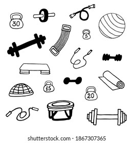 Vector elements of sports equipment. Fitness gym symbols.
