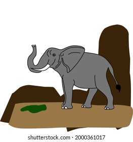 A vector of elephant animals being alone