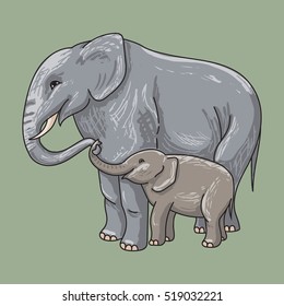 vector of elephant with baby