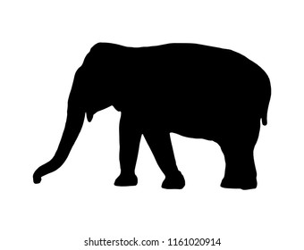Vector elephant black silhouette