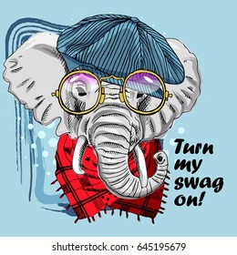 Vector elephant with cap and yellow glasses. Hand drawn illustration of dressed elephant. 