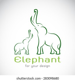 Vector of elephant design on white background,  Vector elephant for your design.