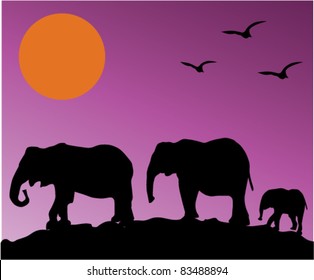 vector elephant family
