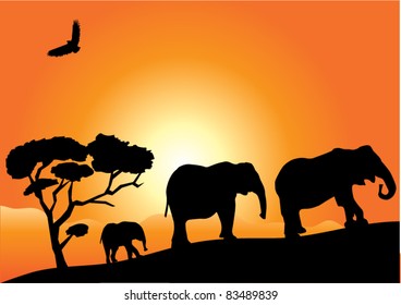 vector elephant family