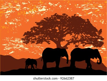 vector elephant family on grunge background