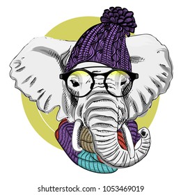Vector elephant with glasses, violet knitted hat and scarf. Hand drawn illustration of dressed elephant. 