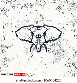 Vector elephant head on grubge background