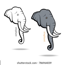 Vector of elephant head on white background