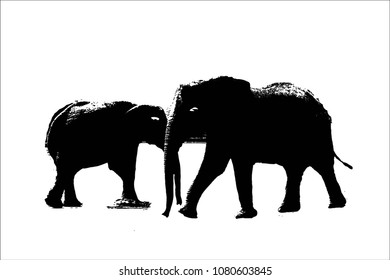 Vector of an elephant and her baby