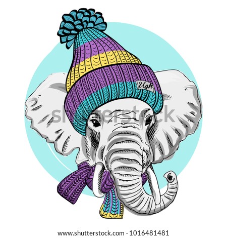 Vector elephant with knitted hat and knitted scarf. Hand drawn illustration of dressed elephant. 
