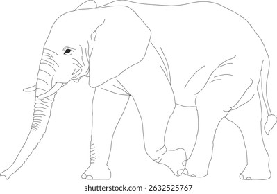 Vector elephant outline art crafted for logos, branding, and creative visuals.