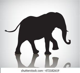 Vector elephant silhouette, illustration with shadow. Black and white