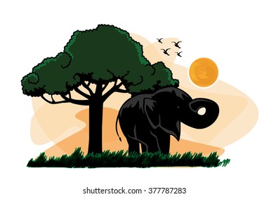 vector elephant sunset tree