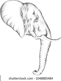The vector elephant for t shirt print or icon.
