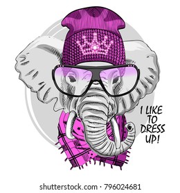 elefante vectorial con sombrero de punto violeta, gafas y pañuelo. Dibujo a mano de elefante vestido.
