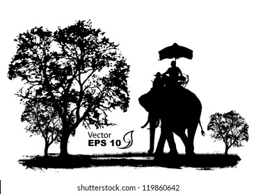 vector of elephants in thailand