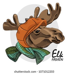 Vector elk with orange cap, knitted green scarf. Hand drawn illustration of dressed elk. 