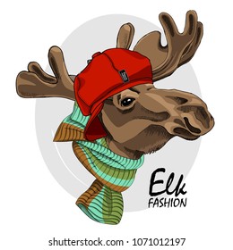 Vector elk with red cap and knitted scarf . Hand drawn illustration of dressed elk. 