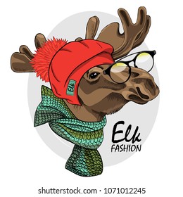 Vector elk with red knitted hat, scarf and glasses. Hand drawn illustration of dressed elk. 4