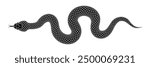 Vector elongated snake silhouette illustration. Black serpent tattoo design isolated on white background.