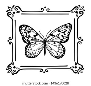 Vector emblem with hand drawn butterfly in vintage frame. Ink drawing, graphic style. Beautiful design elements.