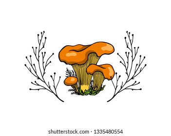 Vector emblem with hand drawn chanterelle mushroom a in floral wreath. Ink drawing, graphic style. Beautiful design elements.