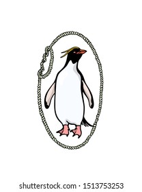 Vector emblem with hand drawn cute Macaroni penguin in nautical rope frame. Ink drawing, funny illustration, beautiful animal design elements.